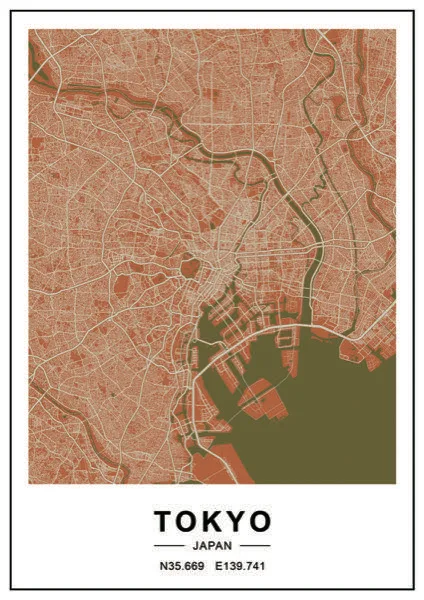 Tokyo City Map