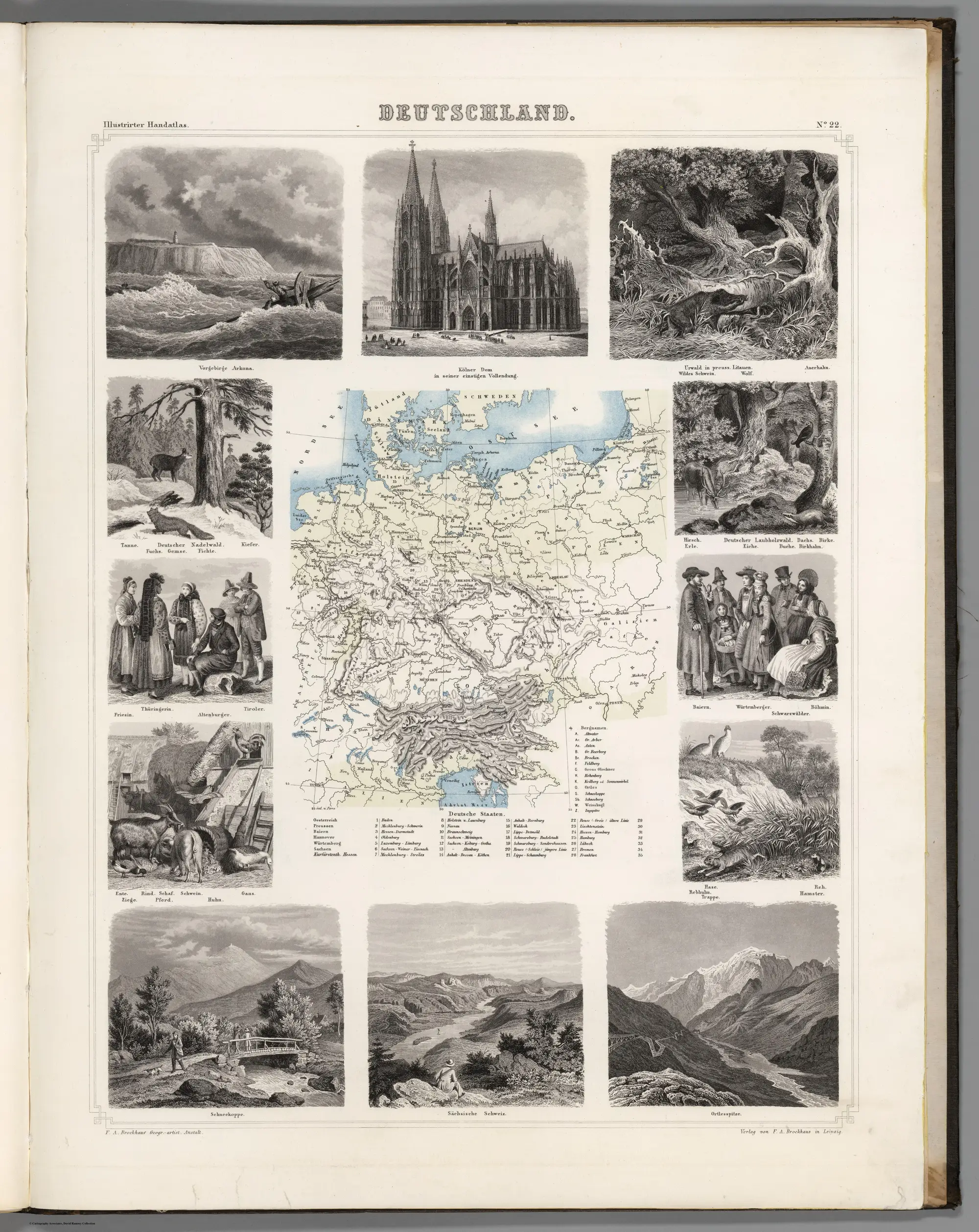 Vintage European District Map
